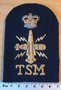 Royal-Navy--TSM-Petty-Off