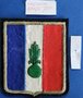 Badge Legionair de France