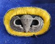 US-PARA-WO2-504-INF-OVAL