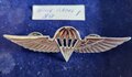 Israel-para-wing-1