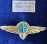 Oekraïne-piloot-wing-vintage