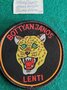 Hongarije-Badge-Geweer-brigade