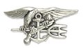 US Navy Seals Silver