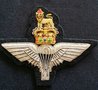 Badge Para Regiment gold  HB