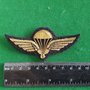 Nepal-wing-2-9-cm