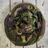 Keflar helm cover Woodland Maat M_7