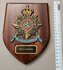 98 Wapenschild 3 Korps 20 cm_7