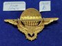 FRANS 16 PARA OPERATIONEEL_7