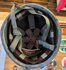 Para helm 2e Rep Legioen_7