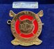 BOTSWANA Defence Force Pin_7