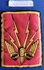 Badge Commando de Terre France_7