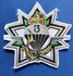 Badge 3e  Mariniers para_7