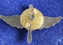 Polen reversspeld  piloten wing  _7