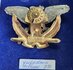 Jugoslavie Airforce speld_7