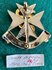South .Afrika medical Corps pin_7