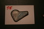 Belg Wing stof 55_7