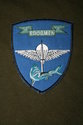 Belg-Frogmen-Patch-kleur