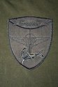 Belg-Frogmen-Patch-subdue