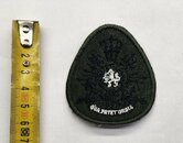 Badge-small--ovaal-groen-Korps