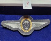 Duits-para-wing--3