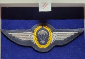 Duits-para-wing--4