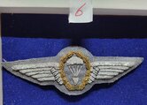 Duits-para-wing--6