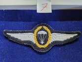 Duits-para-wing-7