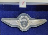 Duits-para-wing-9