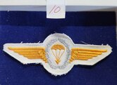 Duits-para-wing-10