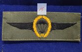 Duits-para-wing-15
