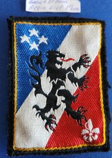 Badge-2e-Regionale-Armee--Lile-France