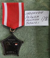 Medaille-Indonesia-Pepera-Tetapr.i