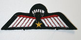 Wing-NL-DT-C