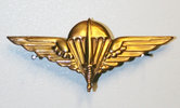 Baret-para-embleem-Belg---Brons