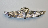 Wing-NL-Gedr.-USMC-Zilver