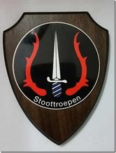 210-Stoottroepen
