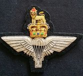 Badge-Para-Regiment-gold--HB