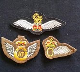 UK--Wing-para--set-van-3