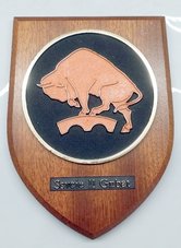 44-Ssvc-11e-Genie-Bat