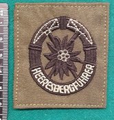 Brevet-Korps-Heeresbergfuhrer-stof