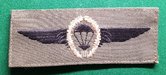 Duist-Para-wing-Camo-1-goud