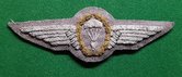 Duist-Para-wing-DT-zilver-goud-borduur