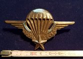 Wing-Frans--NL-gedragen-Oud-model